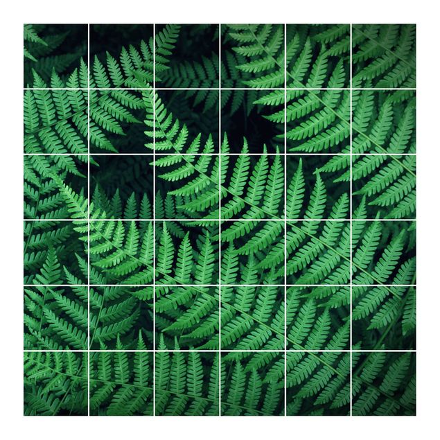 Adhesivos para azulejos en verde Fern