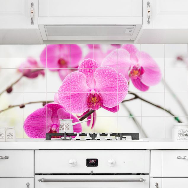 Decoración de cocinas Tile Mural Close-up of orchid