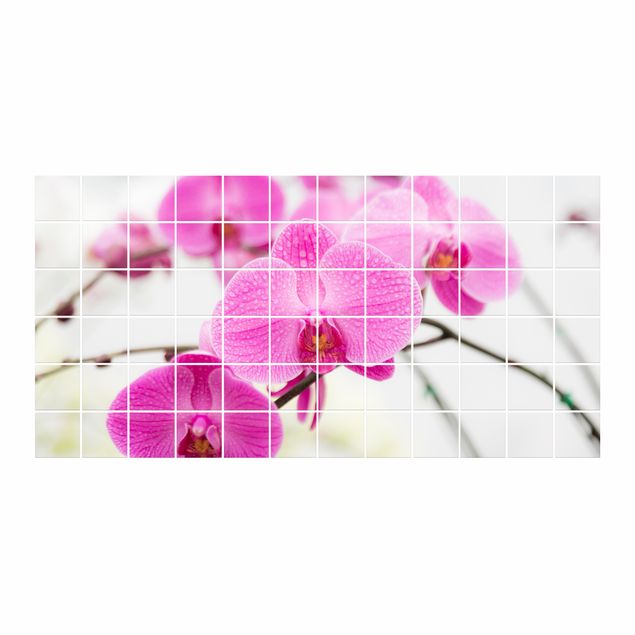 Adhesivos para azulejos Tile Mural Close-up of orchid