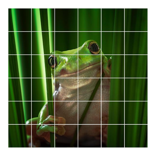 Adhesivos para azulejos en verde Merry Frog