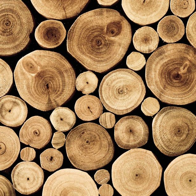 Adhesivos para azulejos efecto madera Homey Firewood