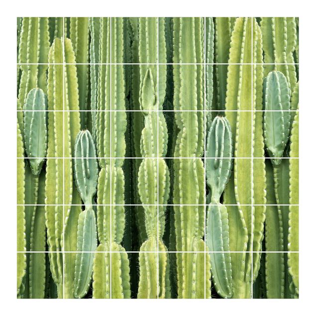 Adhesivos para azulejos en verde Cactus Wall