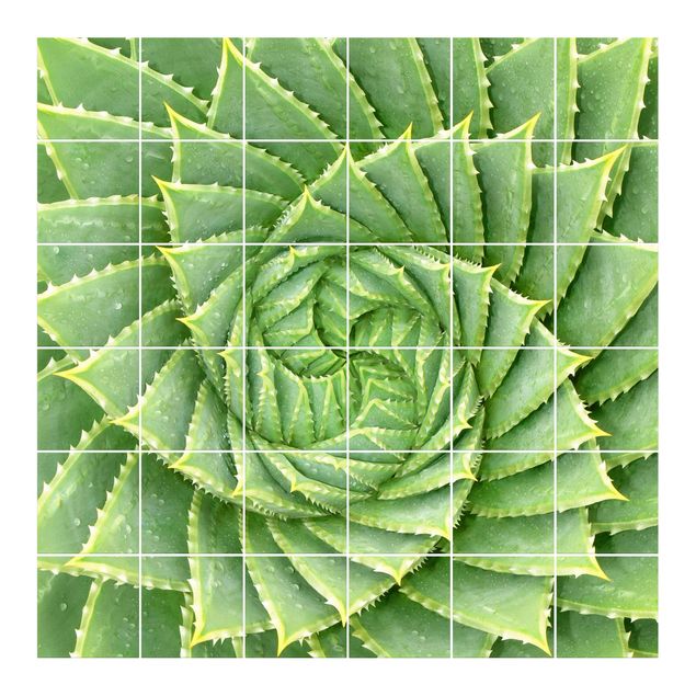 Adhesivos para azulejos patrones Spiral Aloe