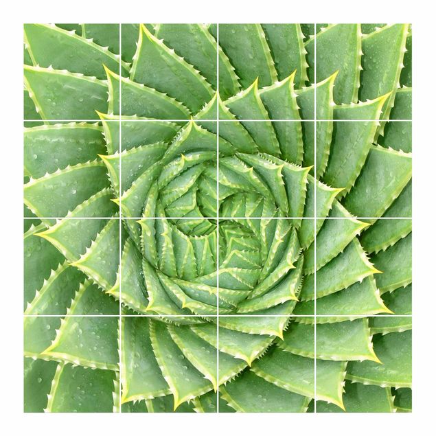 vinilo para azulejos Spiral Aloe