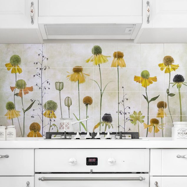 Decoración en la cocina Delicate Helenium Flowers
