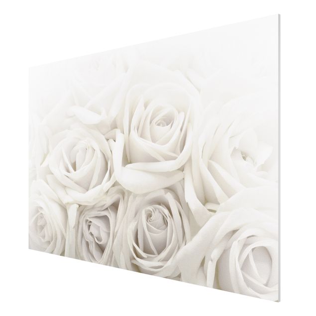 Cuadros flores White Roses