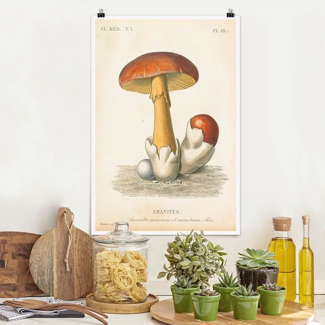 Decoración de cocinas French Mushrooms