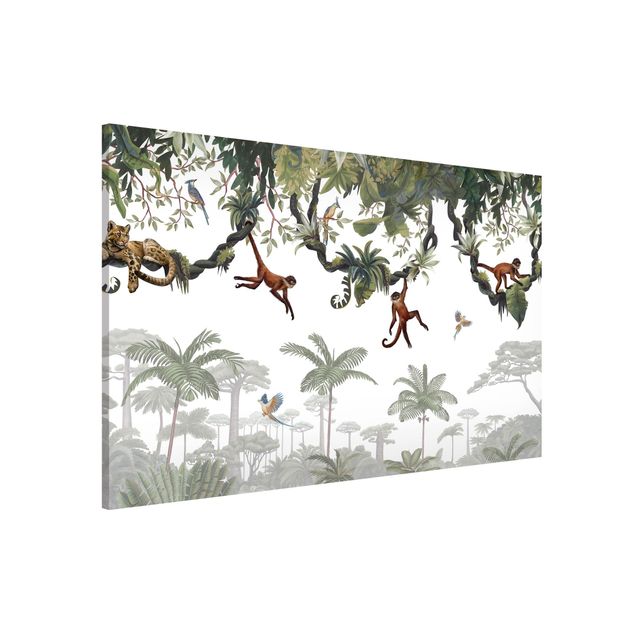 Cuadros monos Cheeky monkeys in tropical canopies