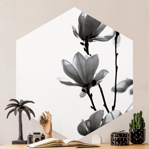 Papel pared flores Herald Of Spring Magnolia Black And White