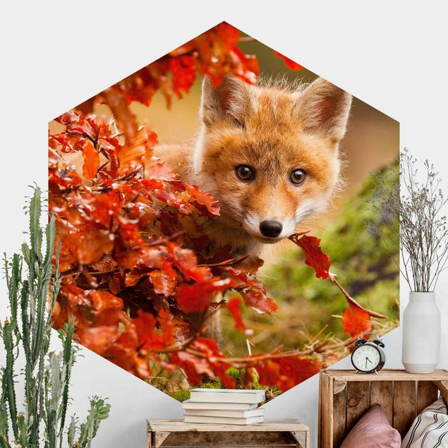 Decoración habitación infantil Fox In Autumn
