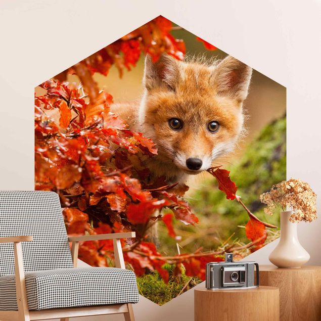 Papel pintado moderno Fox In Autumn