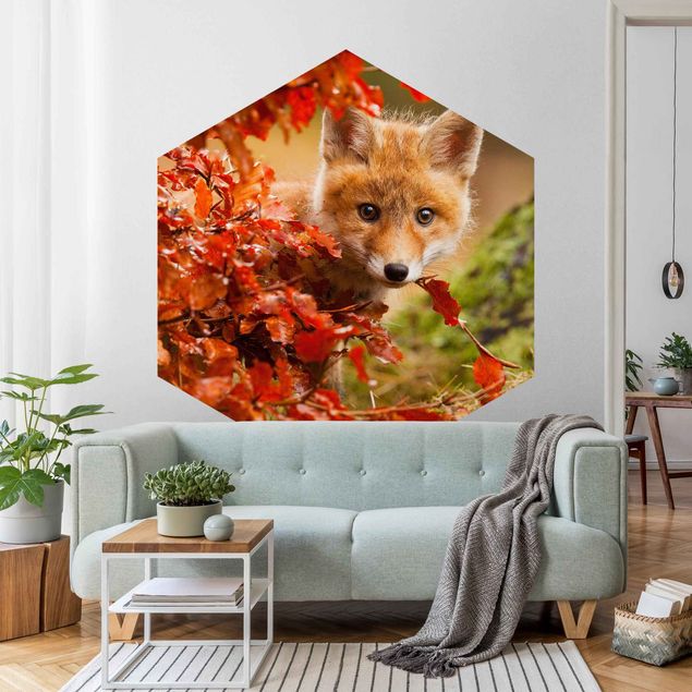 Papel pintado hexagonal Fox In Autumn