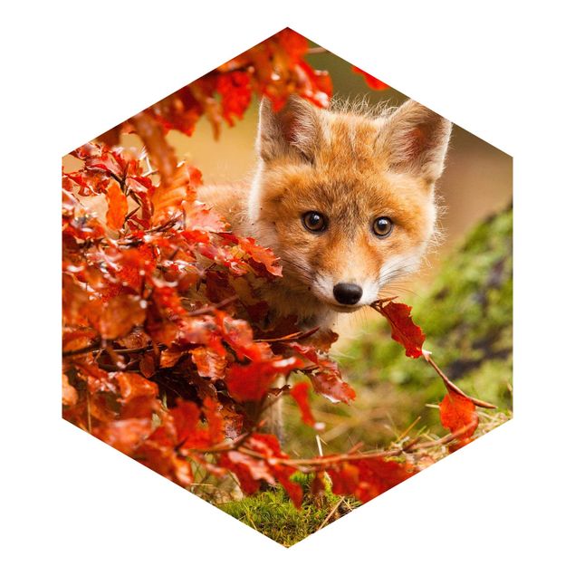 Papel pintado Fox In Autumn
