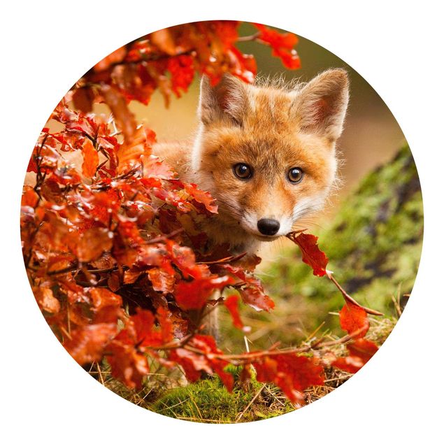 Papel pintado bosque infantil Fox In Autumn