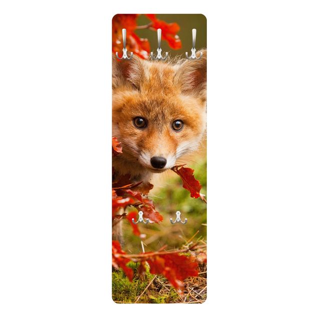 Percha pared Fox In Autumn