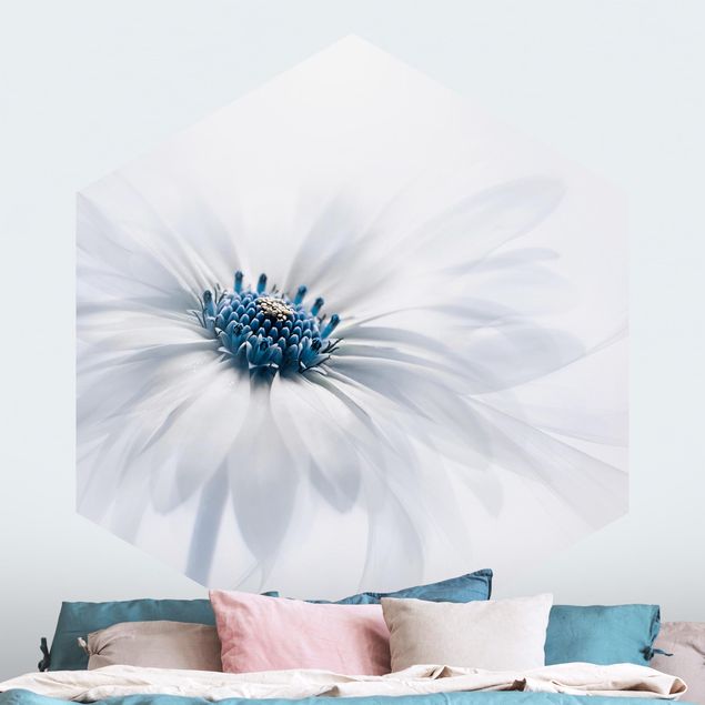 Papel pared flores Daisy In Blue