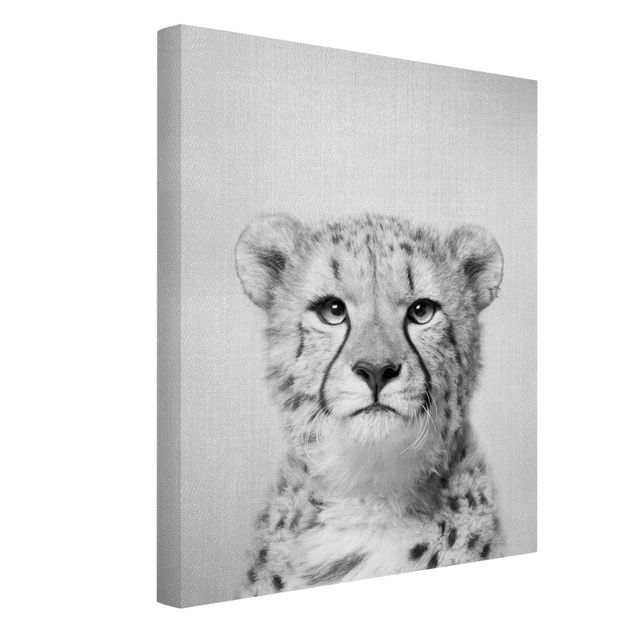 Lienzos de animales Cheetah Gerald Black And White