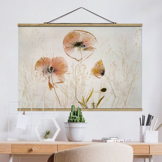 Cuadros amapolas Dried Poppy Flowers With Delicate Grasses