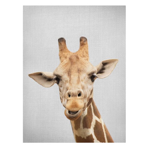 Lienzos de animales Giraffe Gundel