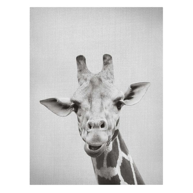 Lienzos animales Giraffe Gundel Black And White