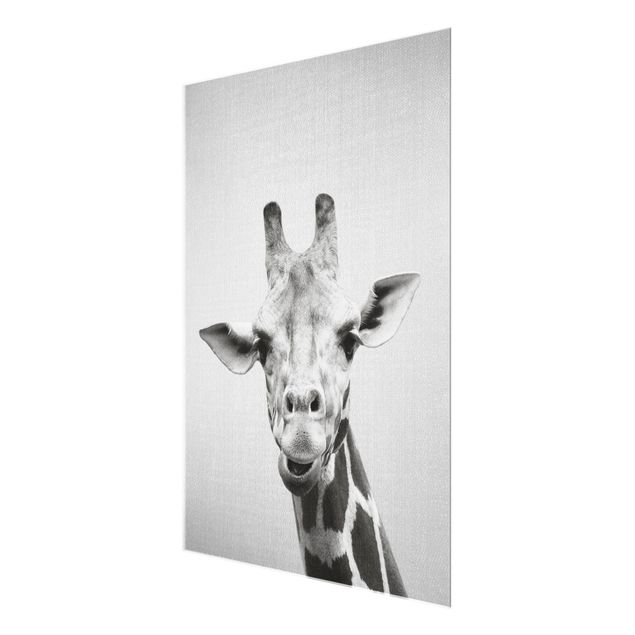 Cuadros en blanco y negro Giraffe Gundel Black And White