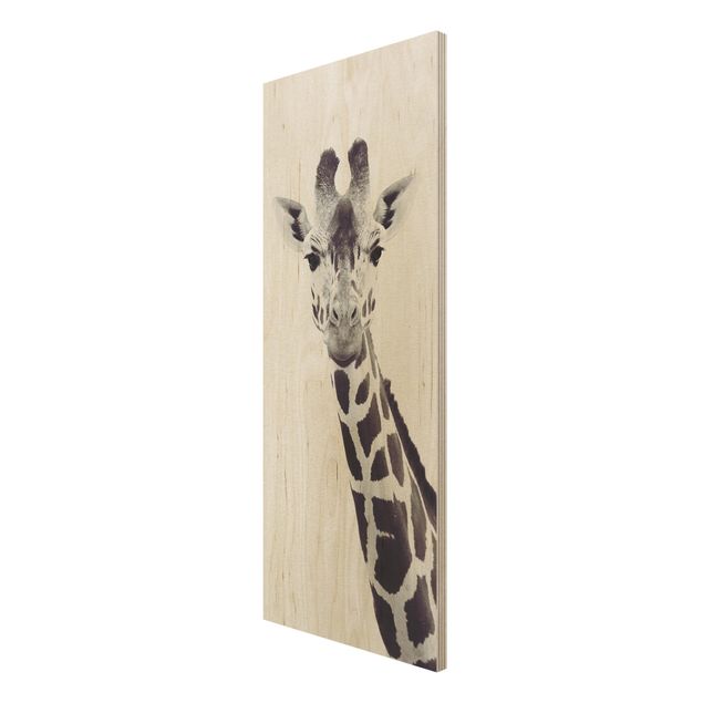 Cuadros decorativos Giraffe Portrait In Black And White