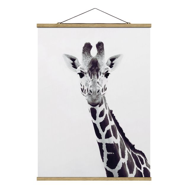 Cuadros animales Giraffe Portrait In Black And White