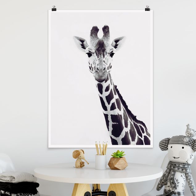 Decoración cocina Giraffe Portrait In Black And White