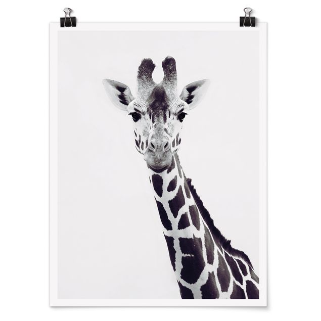 Póster de animales Giraffe Portrait In Black And White