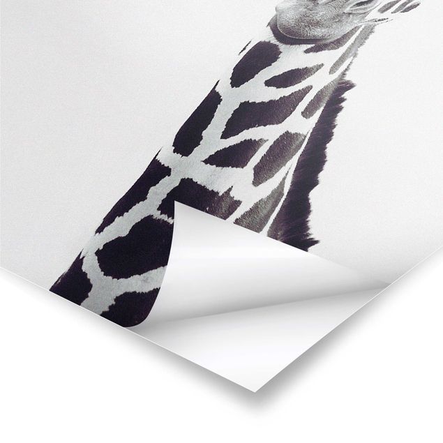 Cuadros de Monika Strigel Giraffe Portrait In Black And White