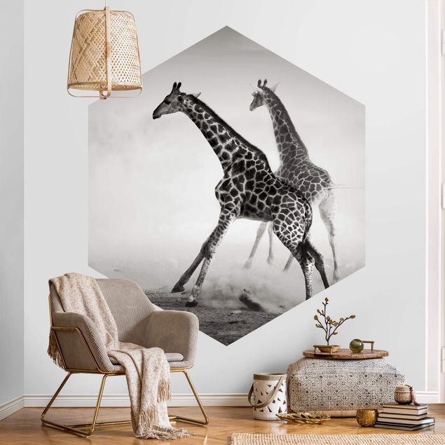 Papel pintado desierto Giraffe Hunt