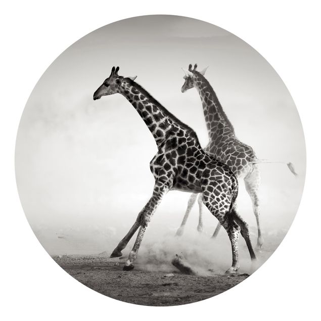 Papel pintado desierto Giraffe Hunt