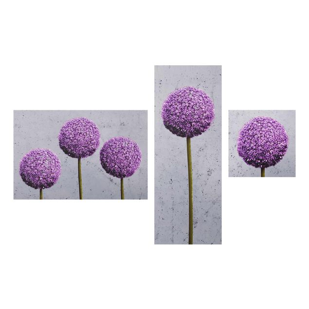 Cuadros de flores Allium Round-Headed Flower