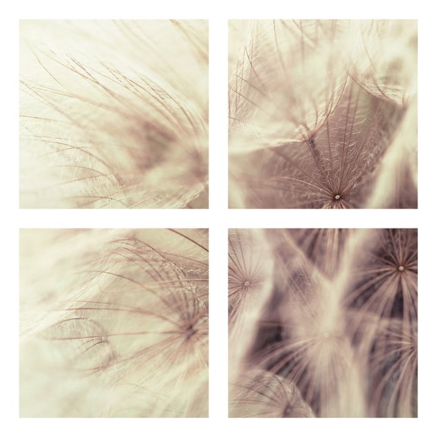 Cuadros de plantas Detailed Dandelion Macro Shot With Vintage Blur Effect