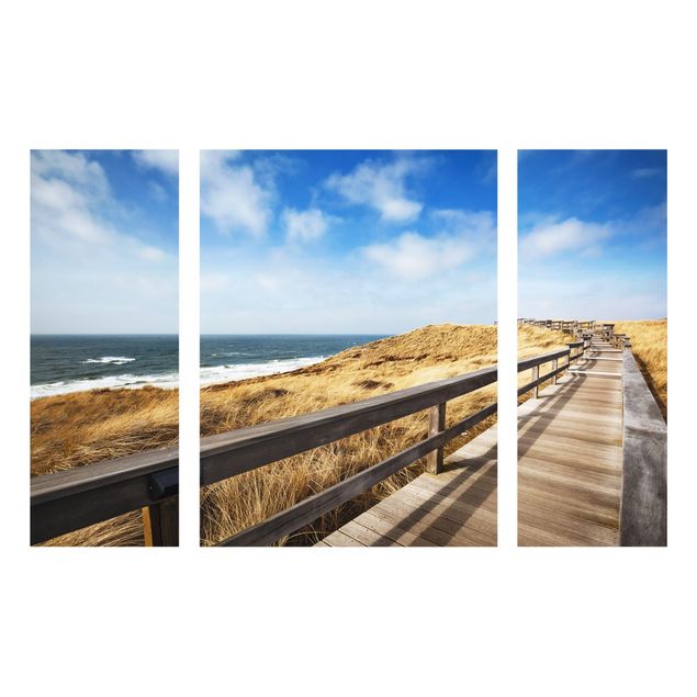 Cuadros playas Path between dunes at the North Sea on Sylt