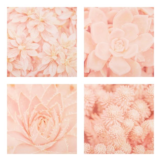 Cuadros de plantas naturales Pink Flower Magic
