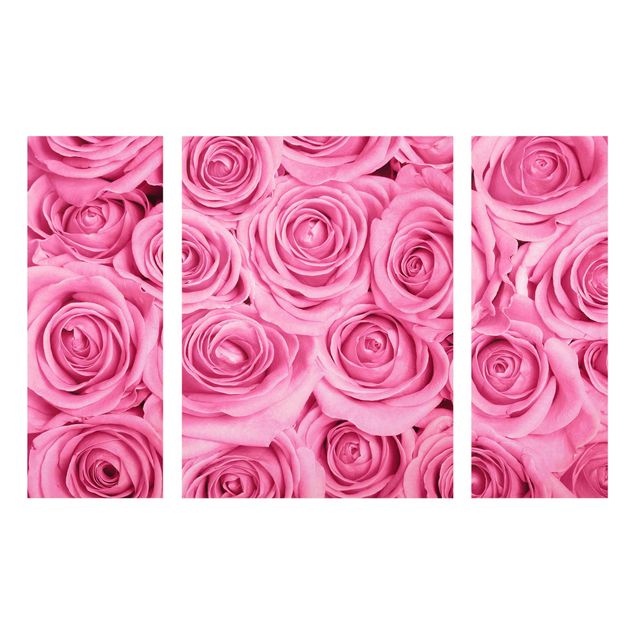 Cuadros de plantas naturales Pink Roses