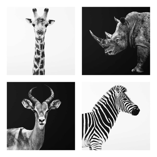 Cuadros modernos blanco y negro Safari Quartet