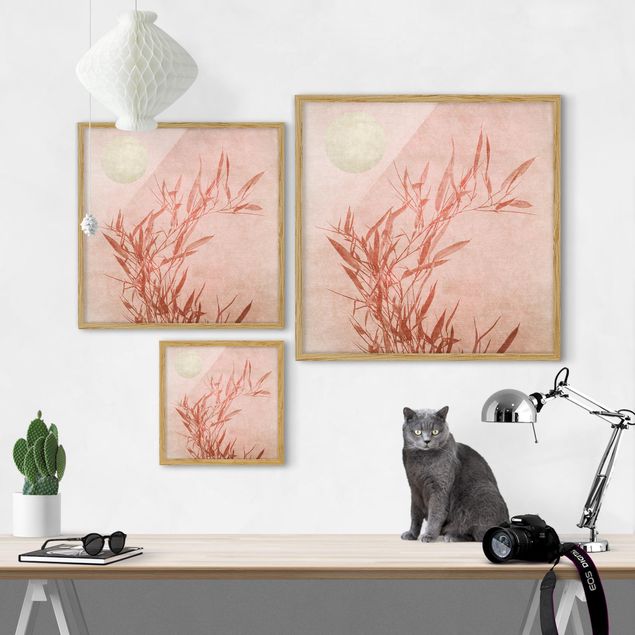 Reproducciónes de cuadros Golden Sun Pink Bamboo