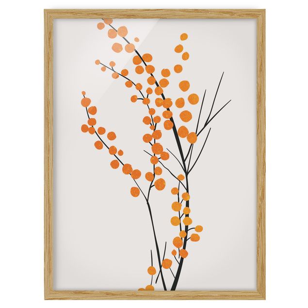 Cuadros de plantas Graphical Plant World - Berries Orange
