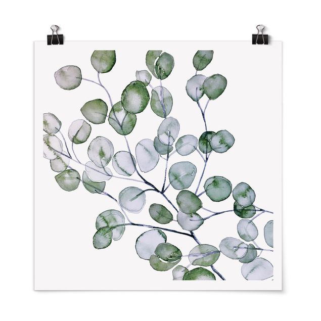 Cuadros de flores modernos Green Watercolour Eucalyptus Branch