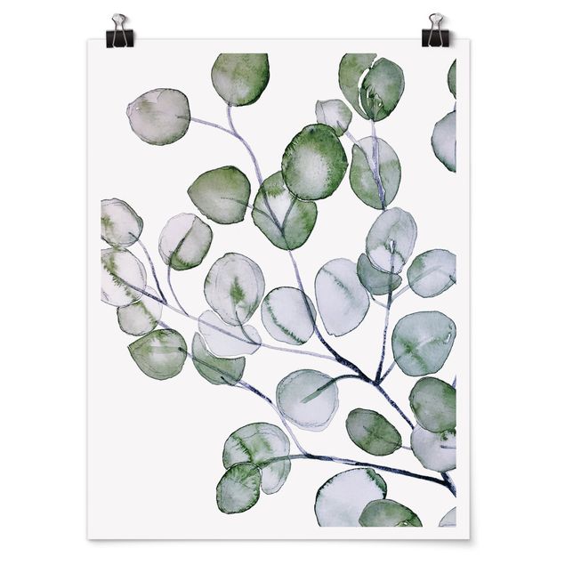 Cuadros de flores Green Watercolour Eucalyptus Branch