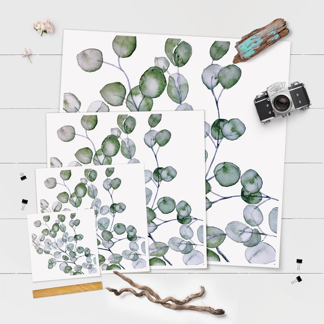 Láminas decorativas para pared Green Watercolour Eucalyptus Branch