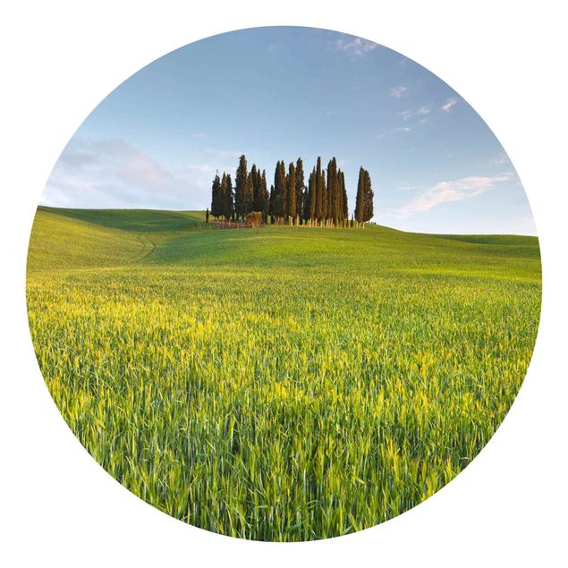 Papel pintado tonos verdes Green Field In Tuscany