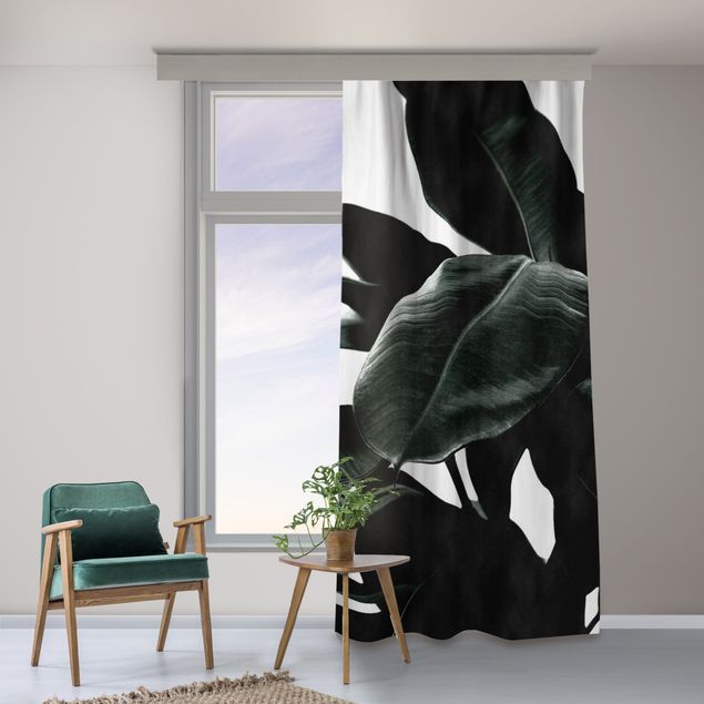 modernas cortinas salon Rubber Tree Dark Green