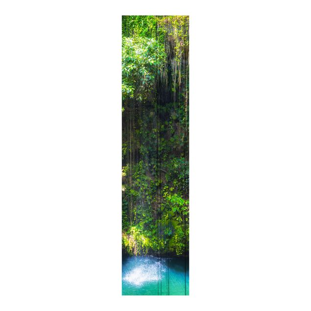 Paneles japoneses paisajes Hanging Roots Of Ik-Kil Cenote