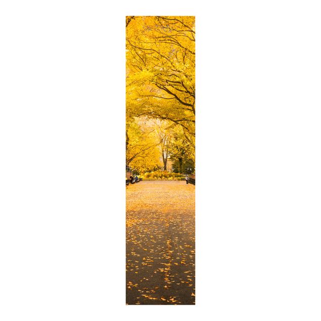 Paneles japoneses arquitectura y skyline Autumn In Central Park