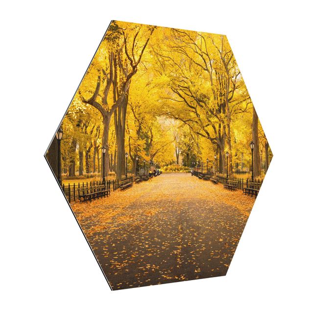 Cuadros modernos Autumn In Central Park