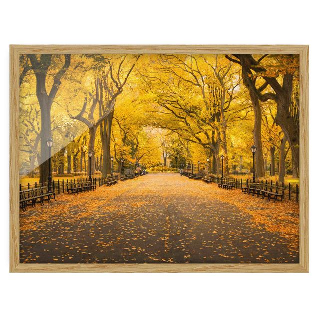 Cuadros modernos y elegantes Autumn In Central Park