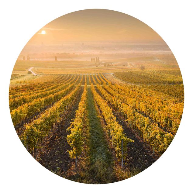 Papel pared paisaje Autumnal Vineyards Near Vienna